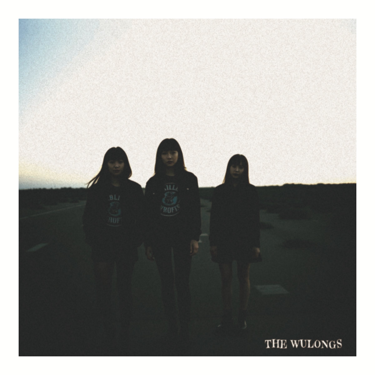 The Wulongs Videodrome cover