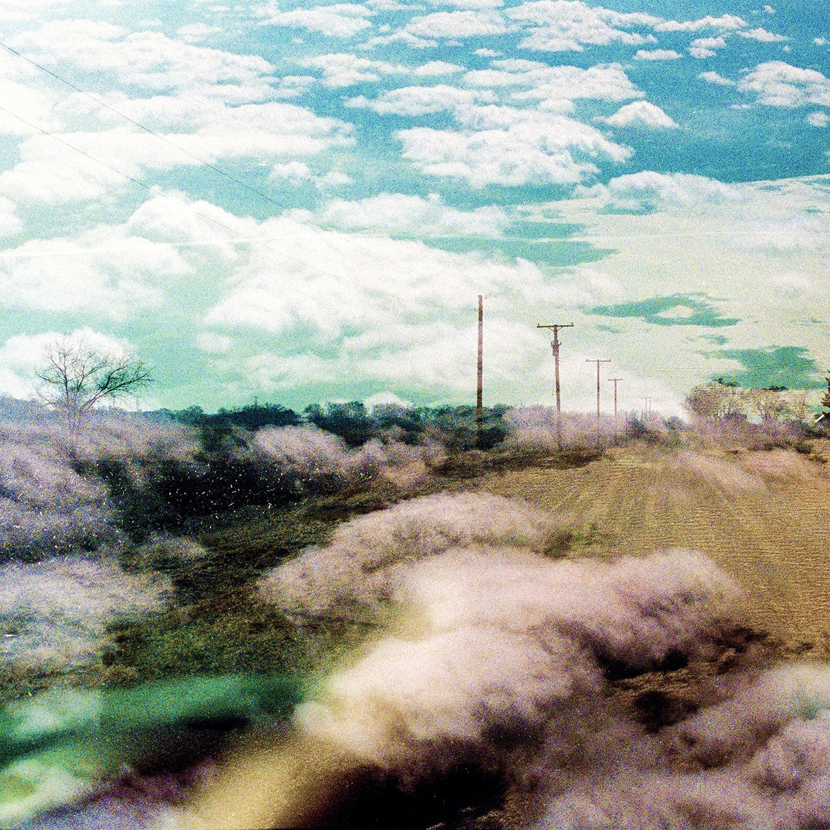 The World Isa Beautiful Placeand I Am No Longer Afraidto Die Always Foreign