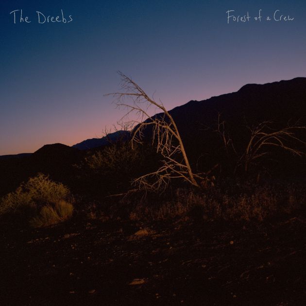 The Dreebs Forest of a Crew