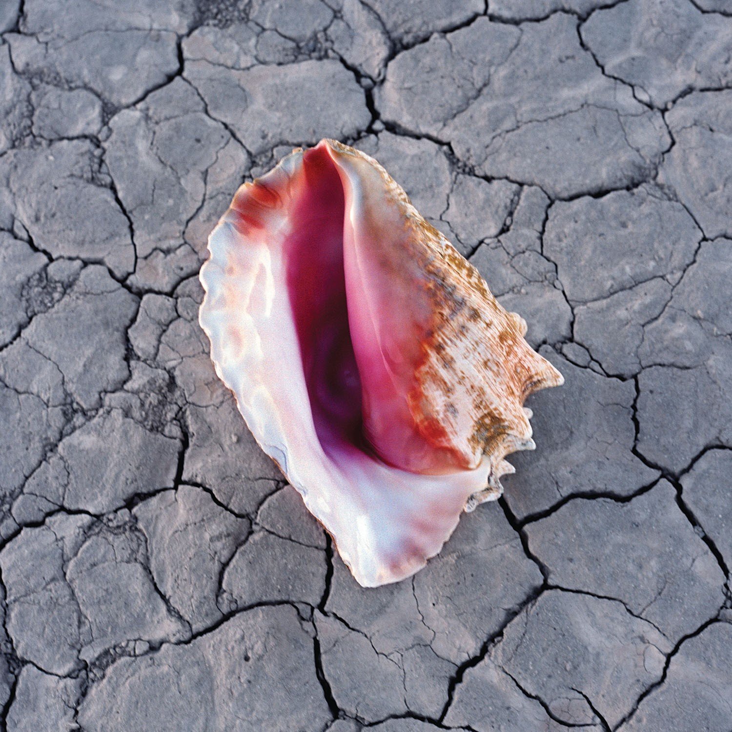 The Killers Wonderful Wonderful