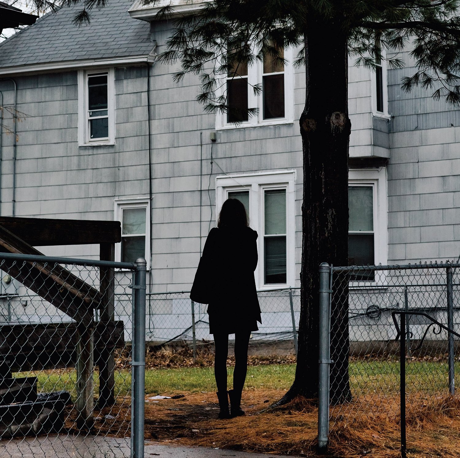The Tallest Man On Earth Dark Bird Is Home