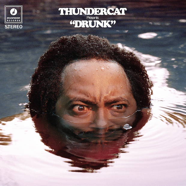 Thundercat drunk