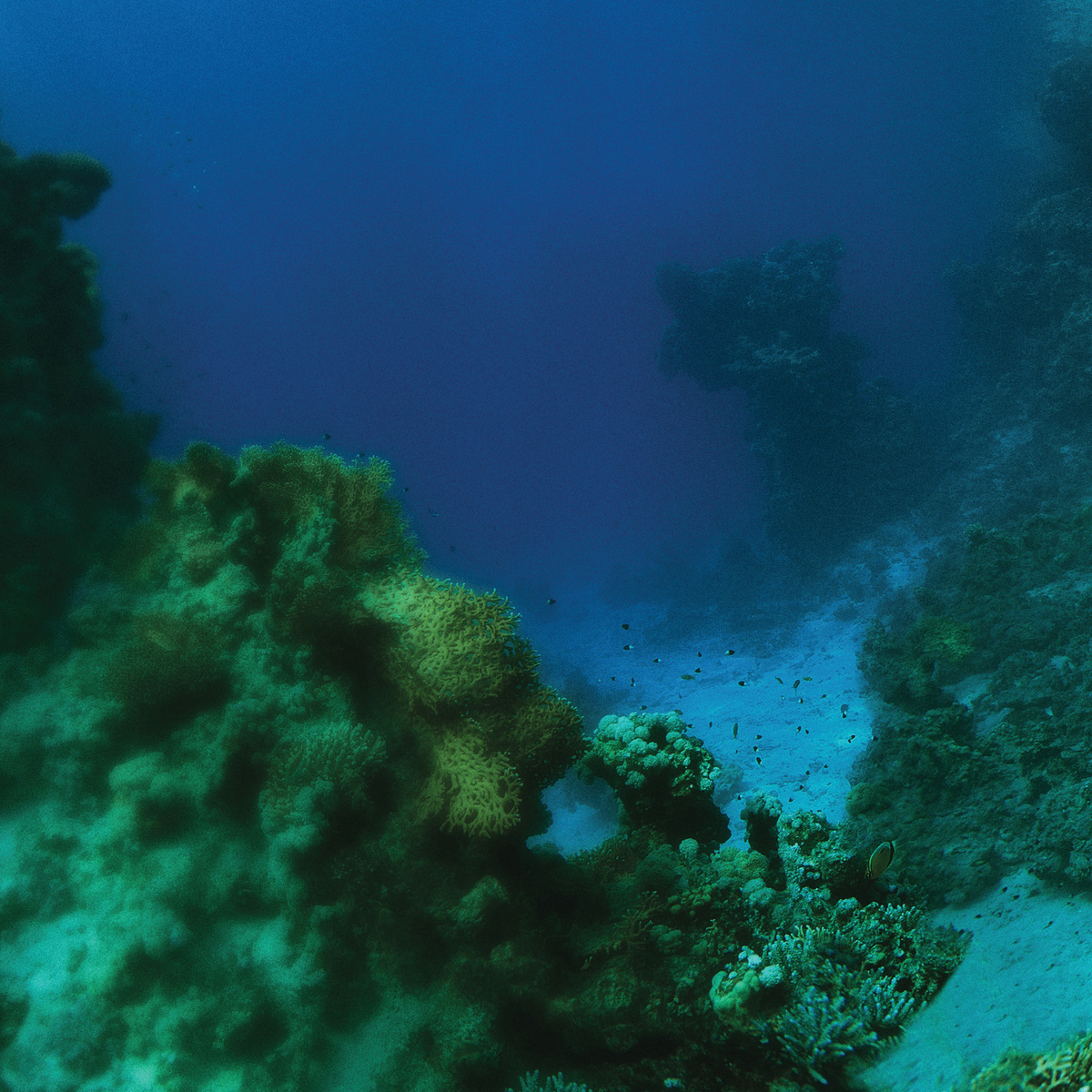 Tiny Fingers The Fall