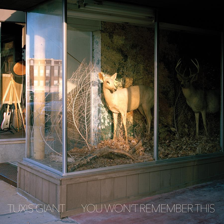 Tuxis Giant You Wont Remember This cover