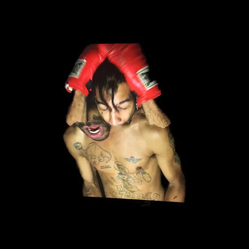 Velvet Negroni Bulli Album Artwork