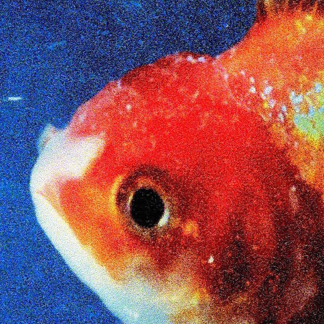 Vince Staples Big Fish Theory Album cover art
