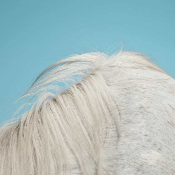 Widowspeak All Yours artwork SMALL 560x560