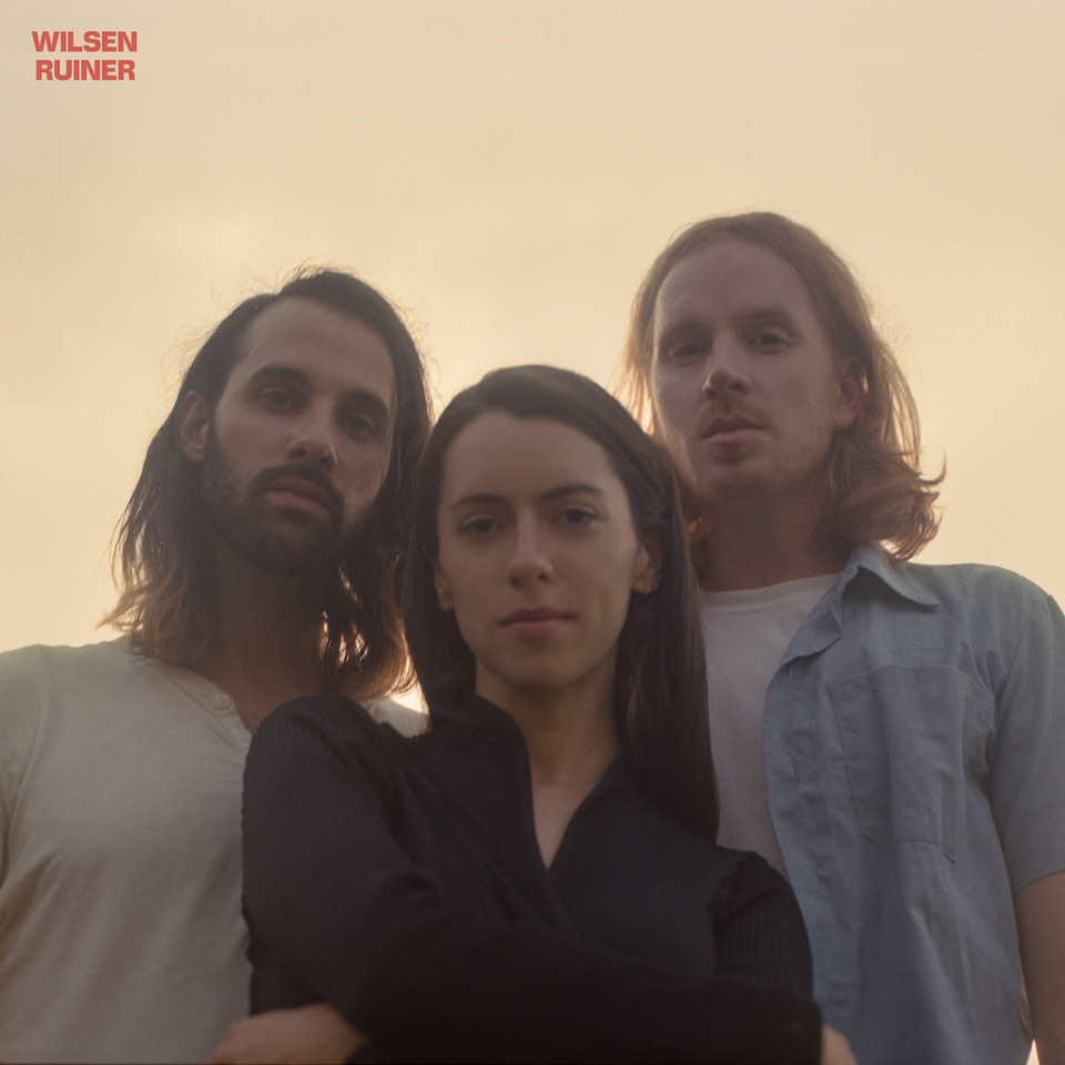 Wilsen Ruiner Digital Album Artwork medium 1000