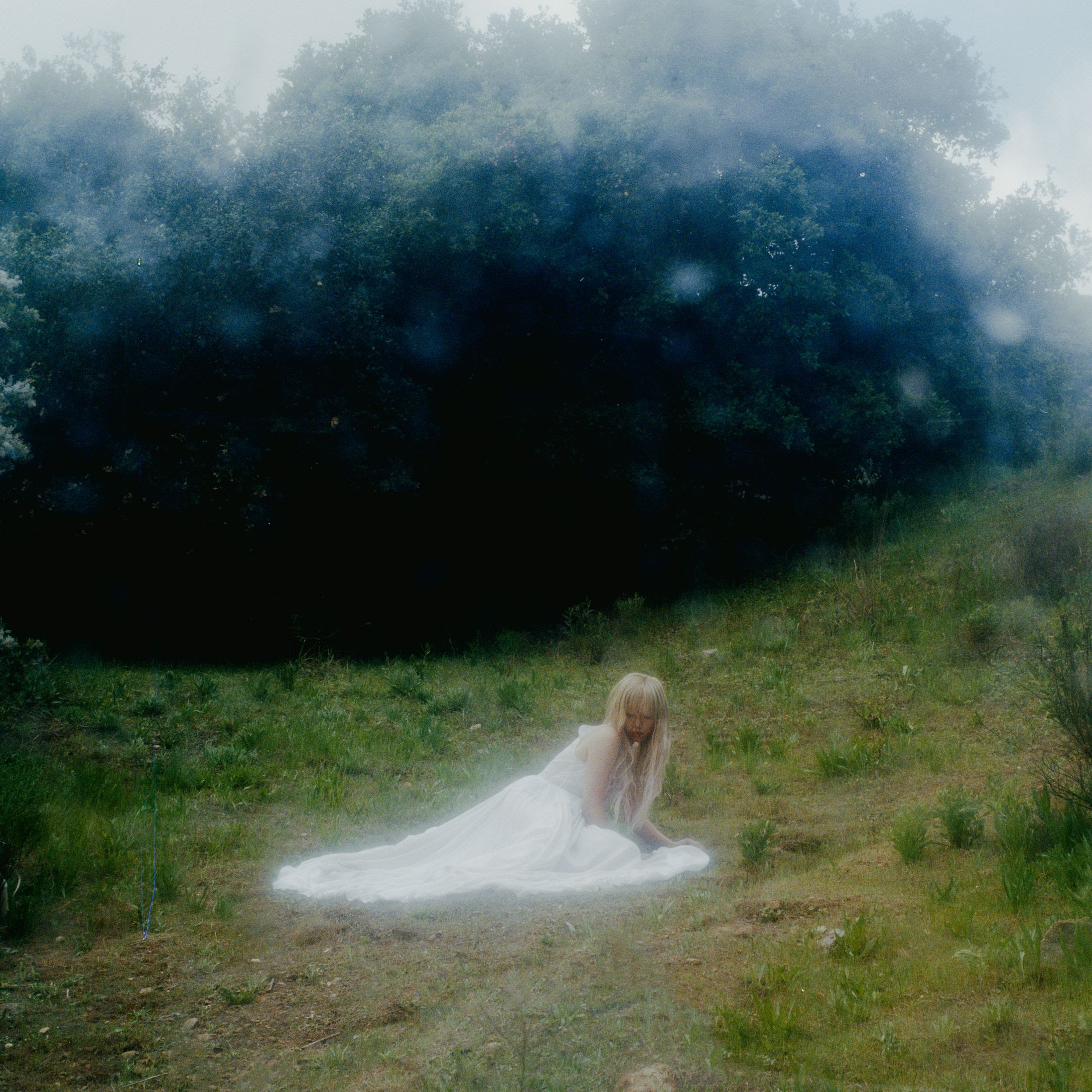 Wisp If Not Winter cover