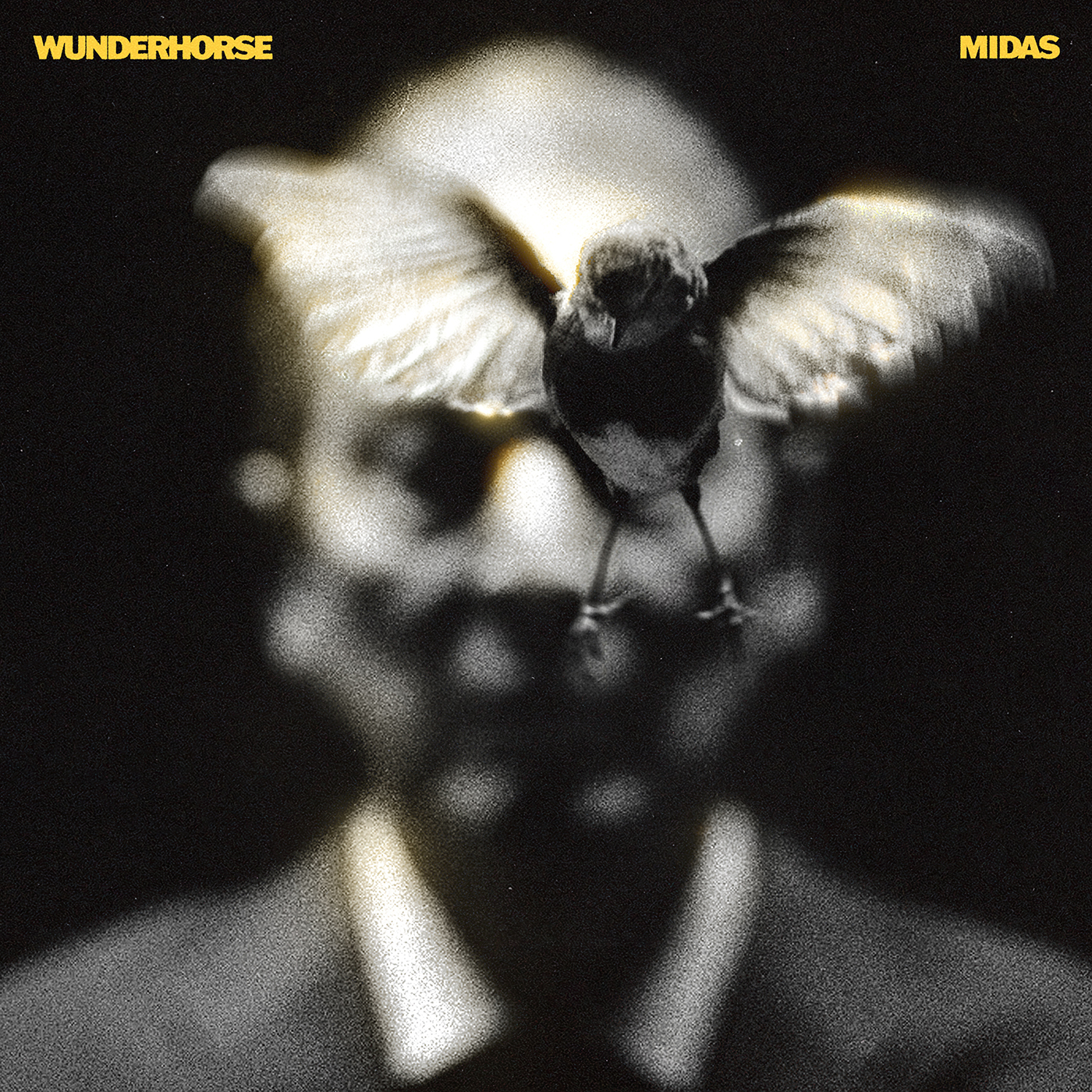 Wunderhorse Midas cover