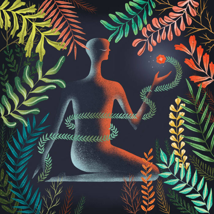 A3976337506 16 696x696