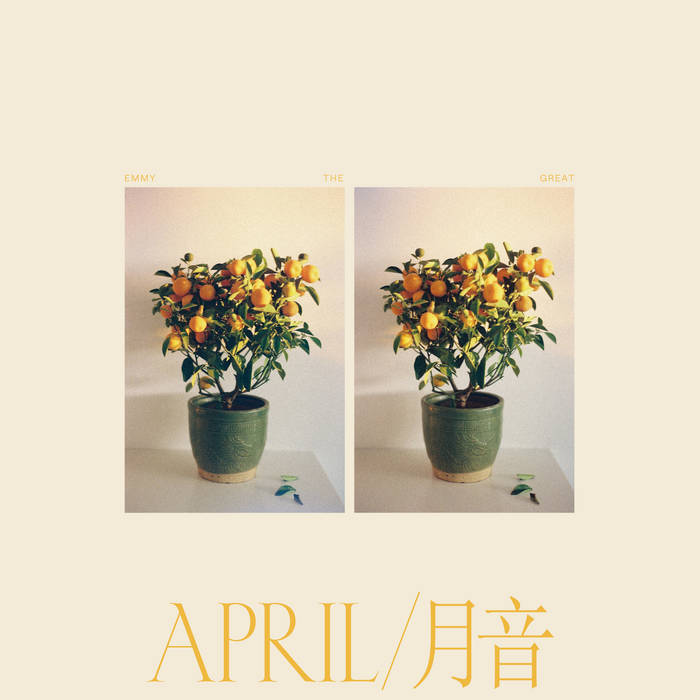 A4165830466 16