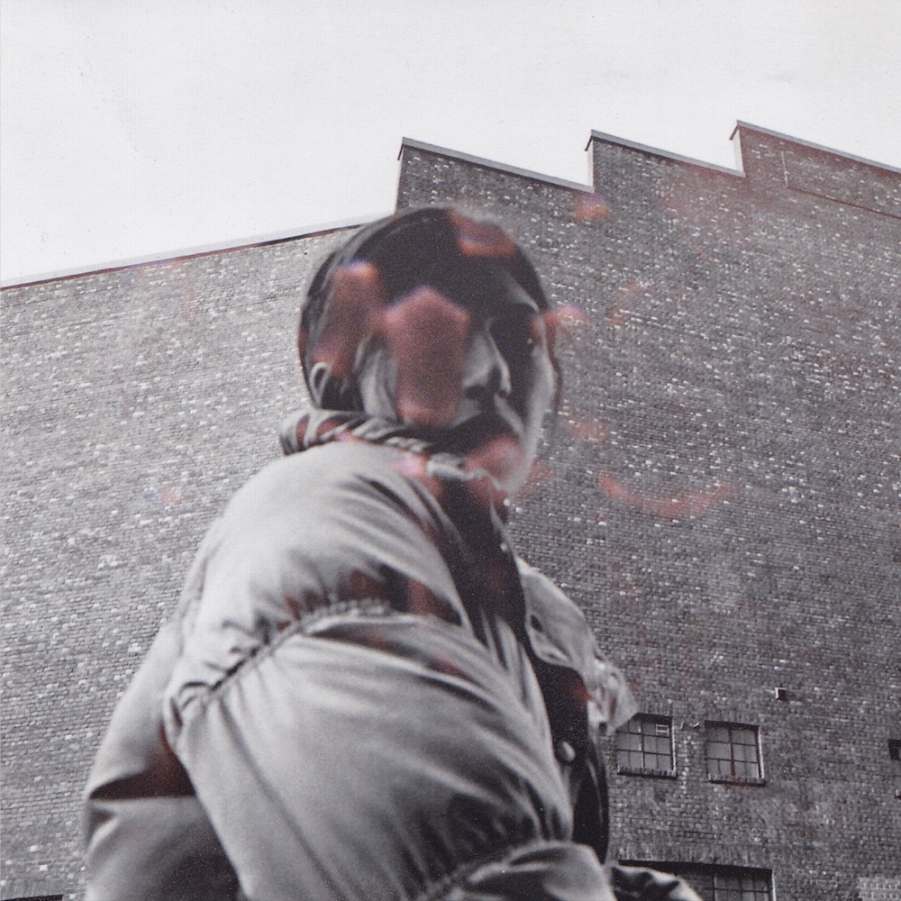 Aldous harding warm chris art