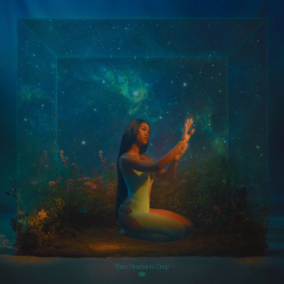 Amber marks 3 dimensions art