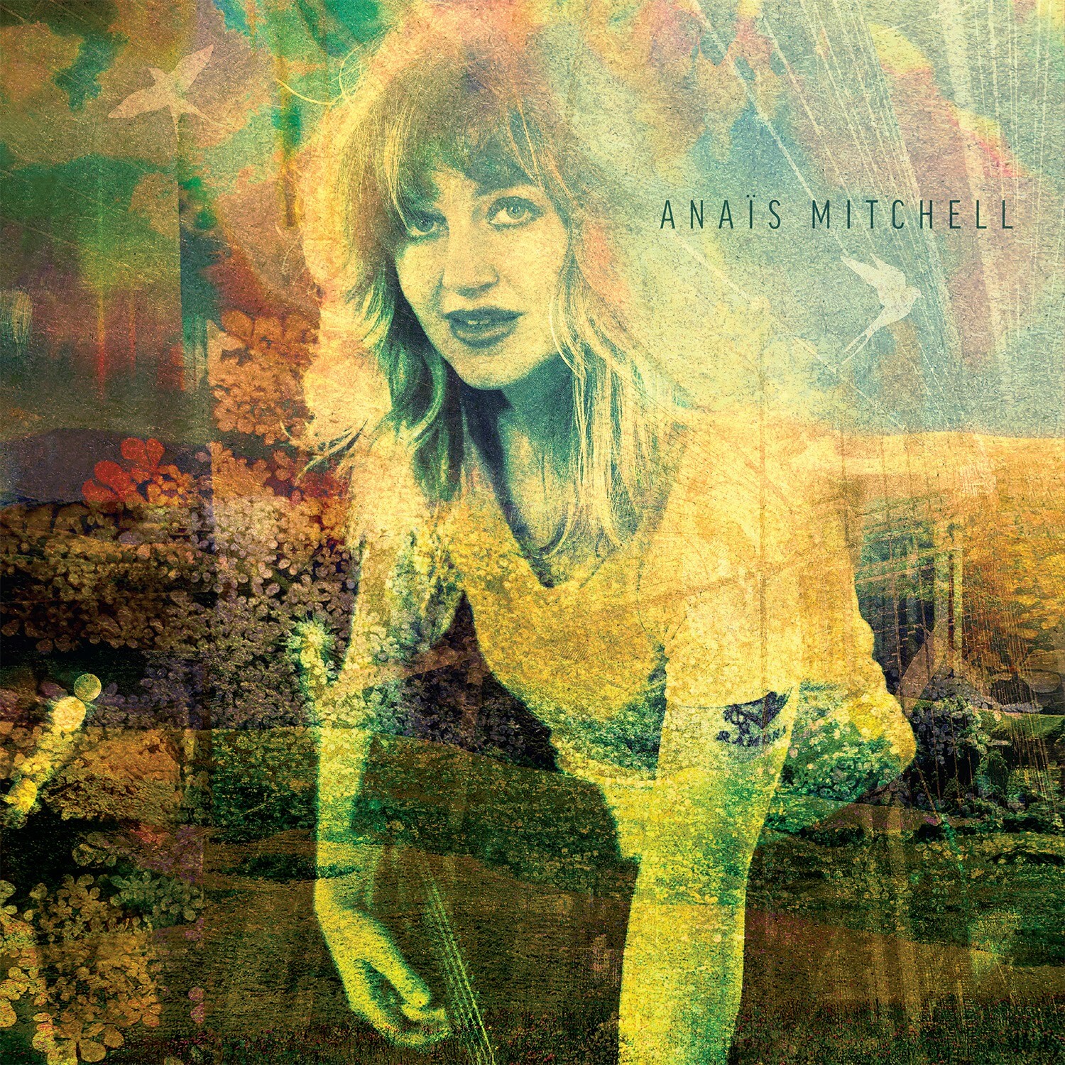 Anais mitchell art