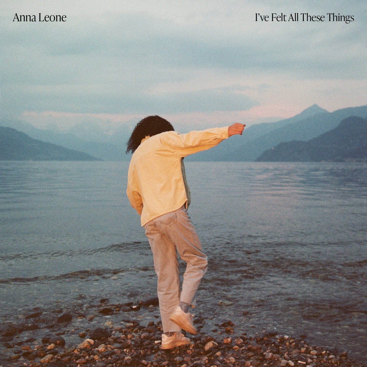 Anna leone felt art
