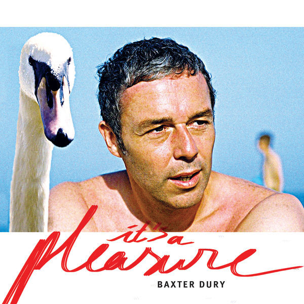 Baxter dury pleasure