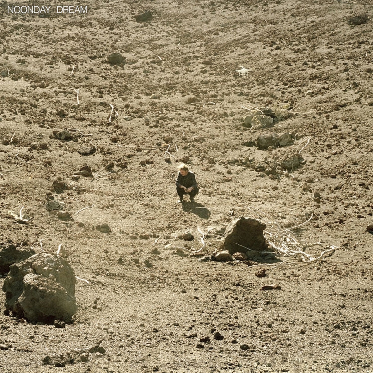 Ben howard noonday dream art