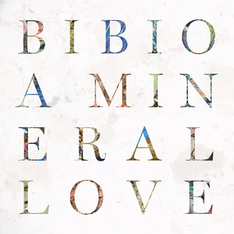 Bibio a mineral love
