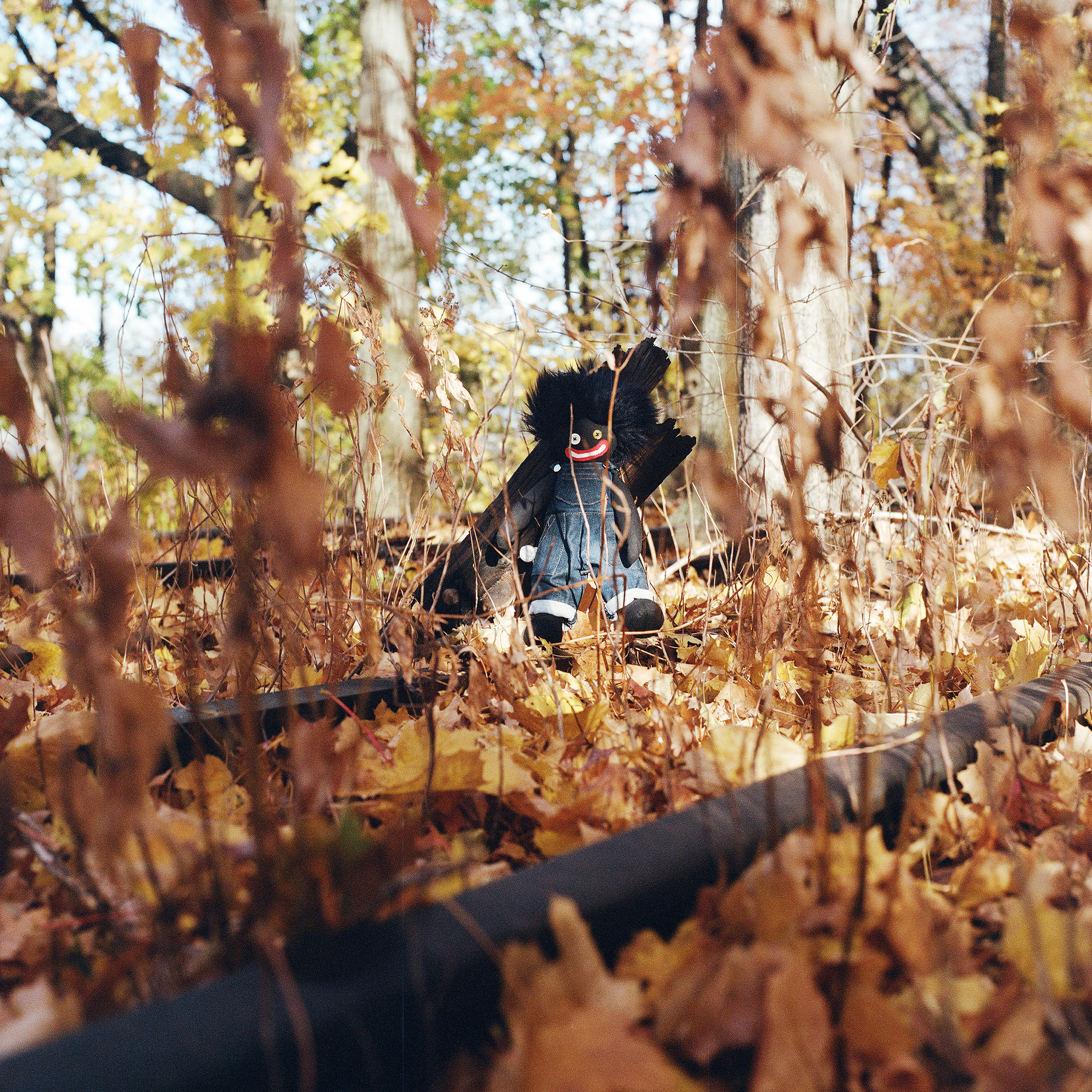 Billy woods golliwog cover