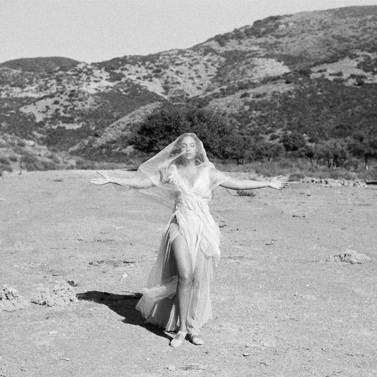 C917118b308cae3422506f51776b864558 black is king rsquare w1200