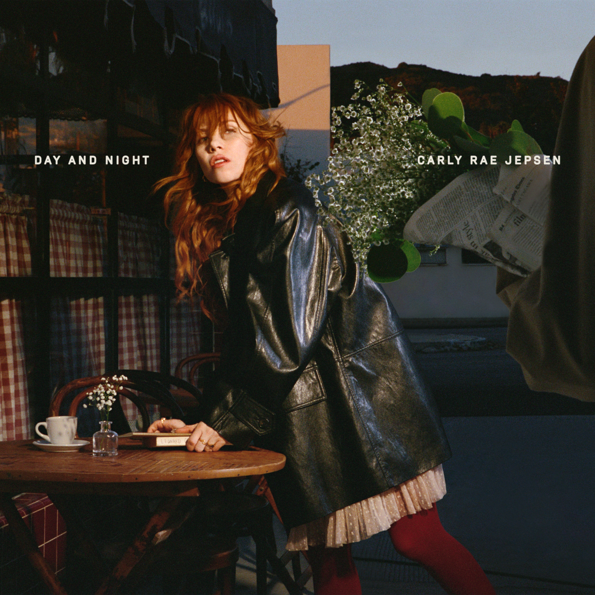 Carly rae jepsen night day