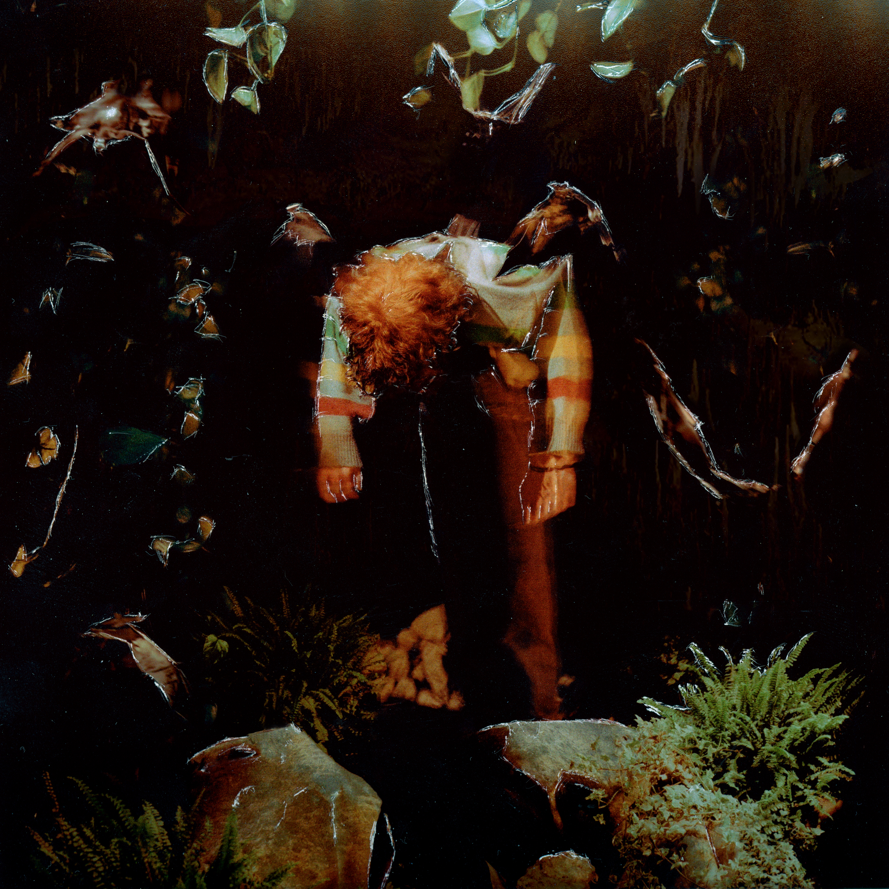 Cavetown worm food cover