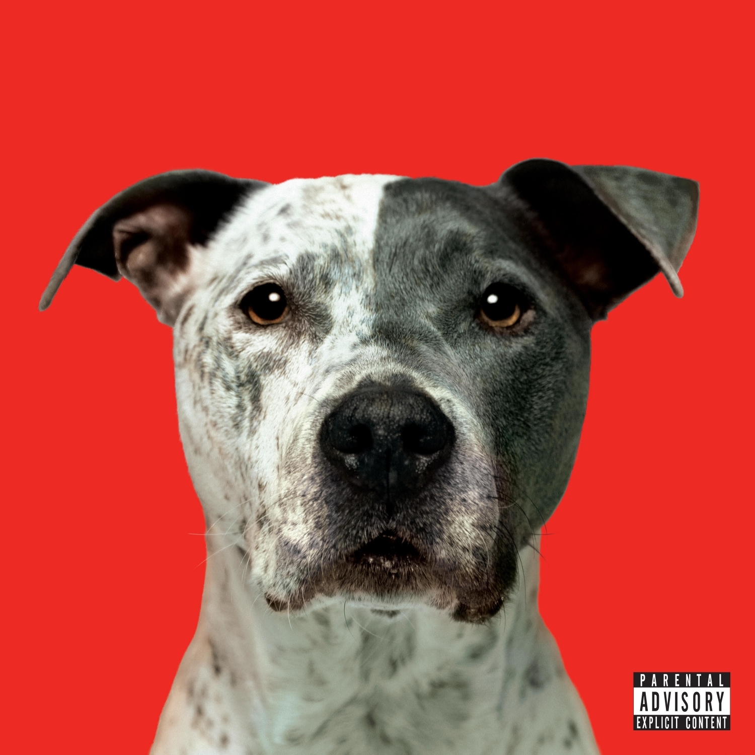 Cover Hanni El Khatib FLIGHT