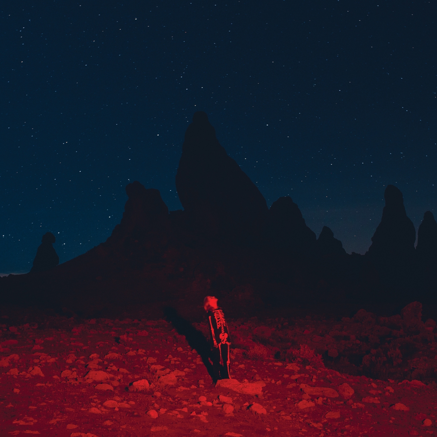 Cover Phoebe Bridgers Punisher MP3