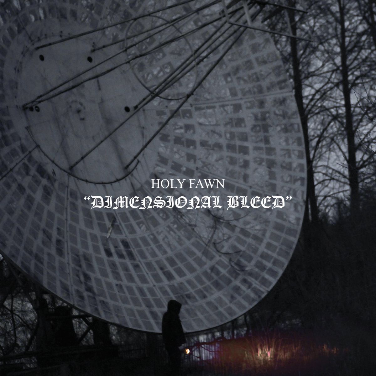 Holy Fawn - Dimensional Bleed cover