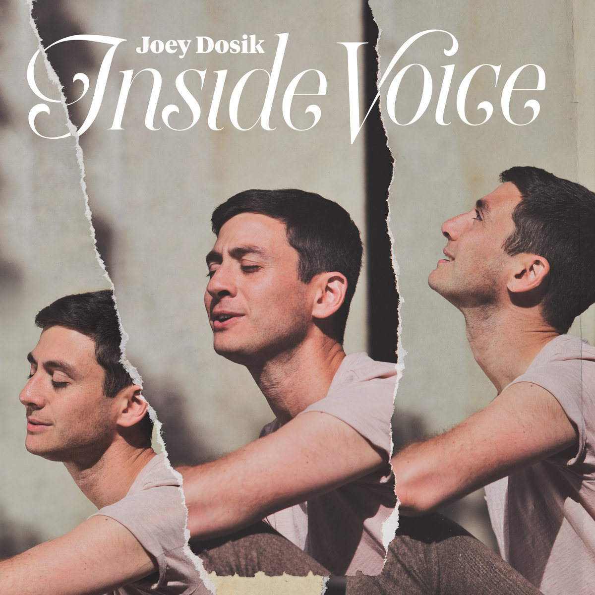 Joey dosik inside voice
