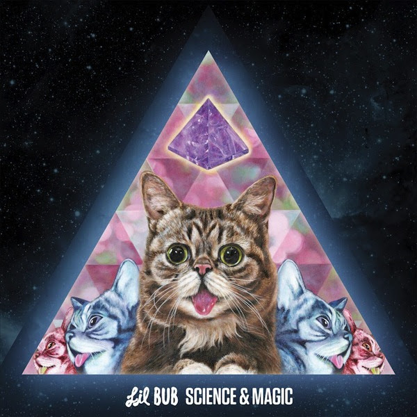 Lil bub artwork