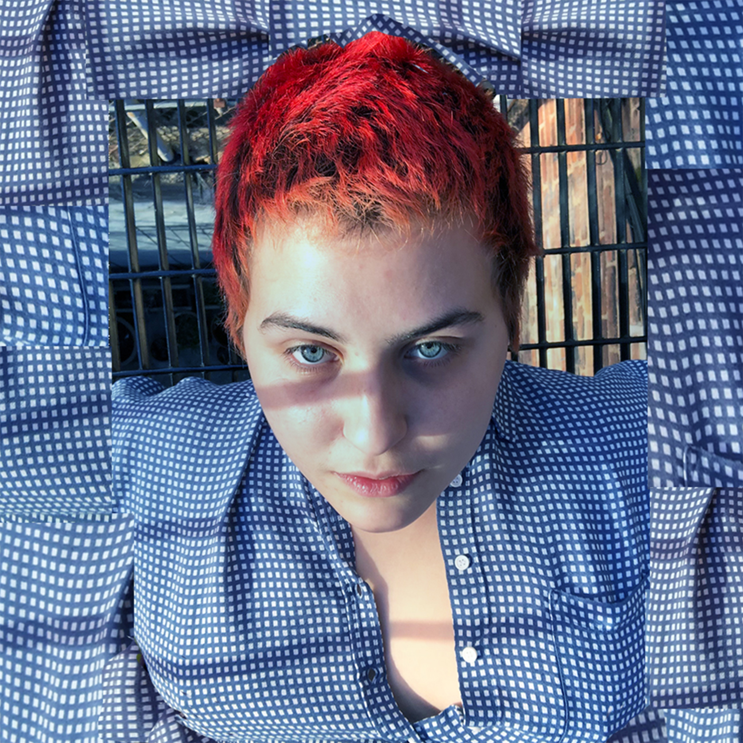 Lilykonigsbergbestof