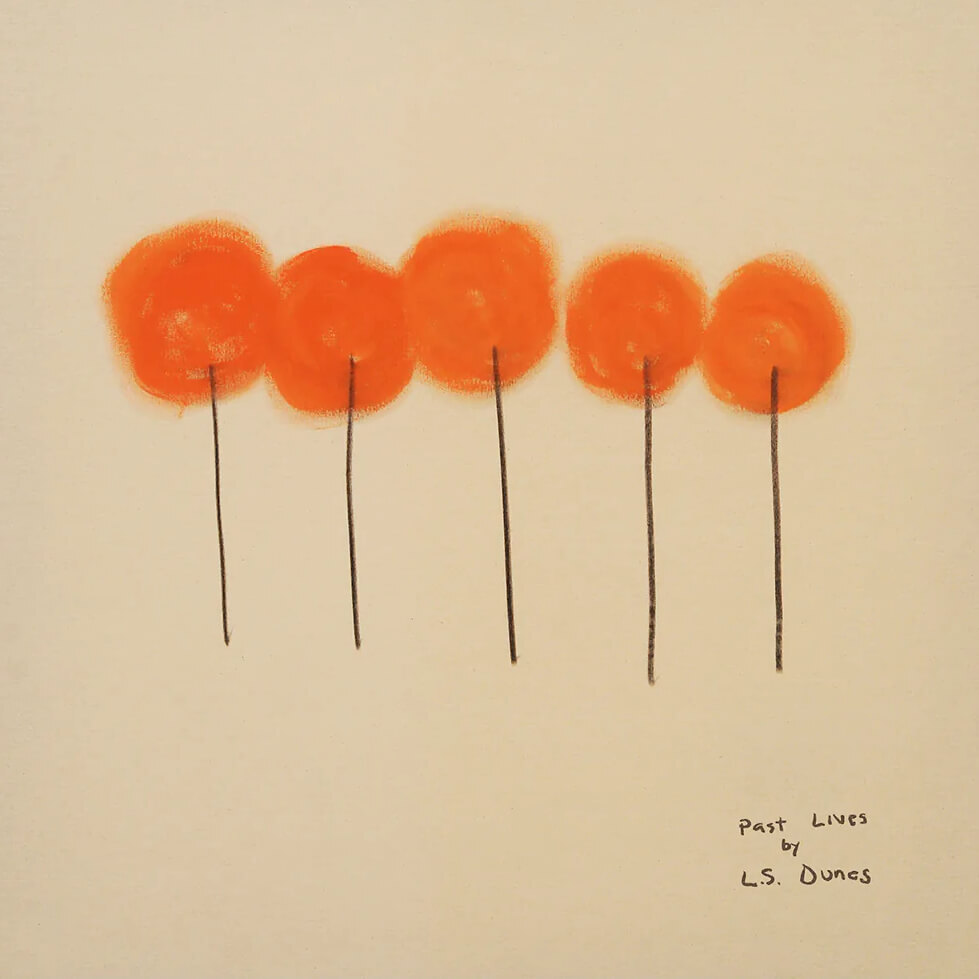 Ls dunes past lives art