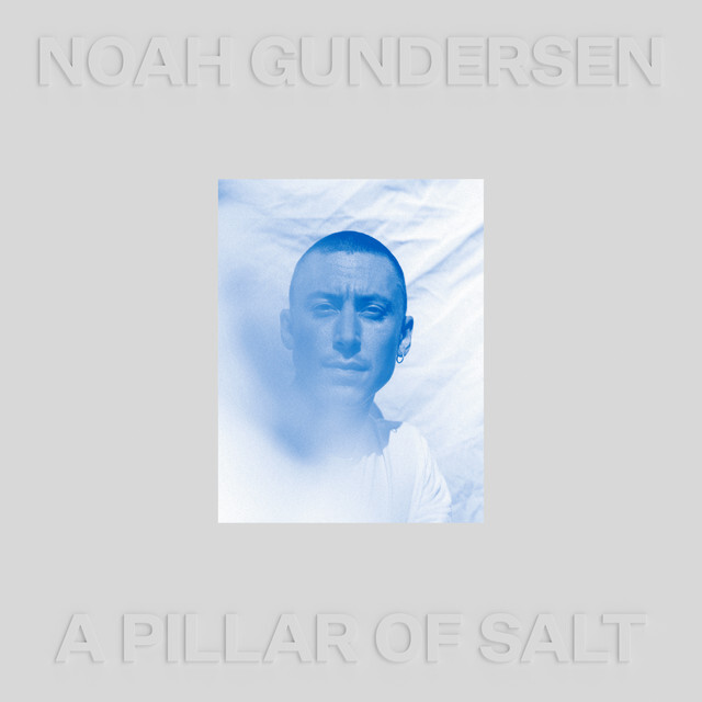 Noah gundersen pillar salt art