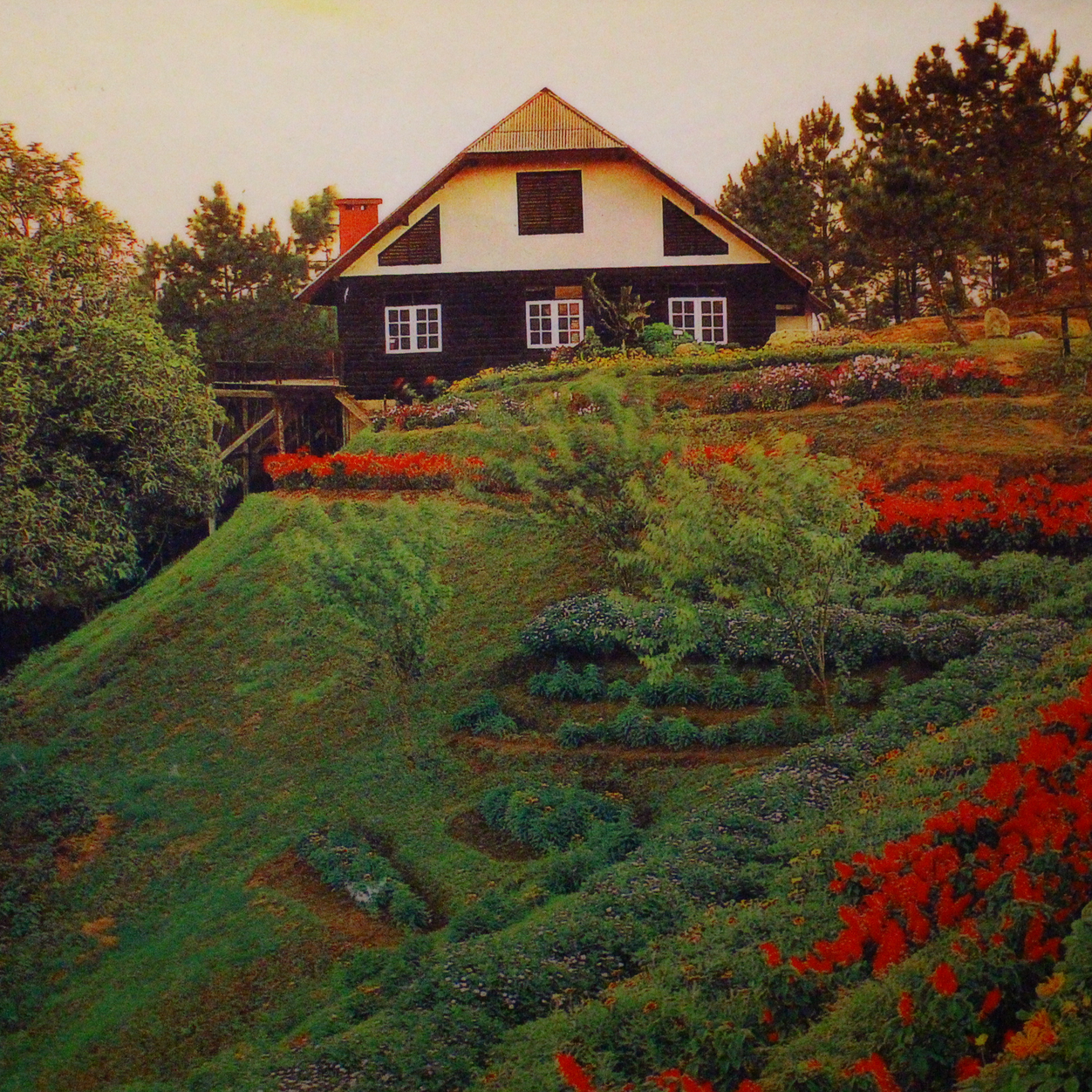 Proun maybe luck album cover