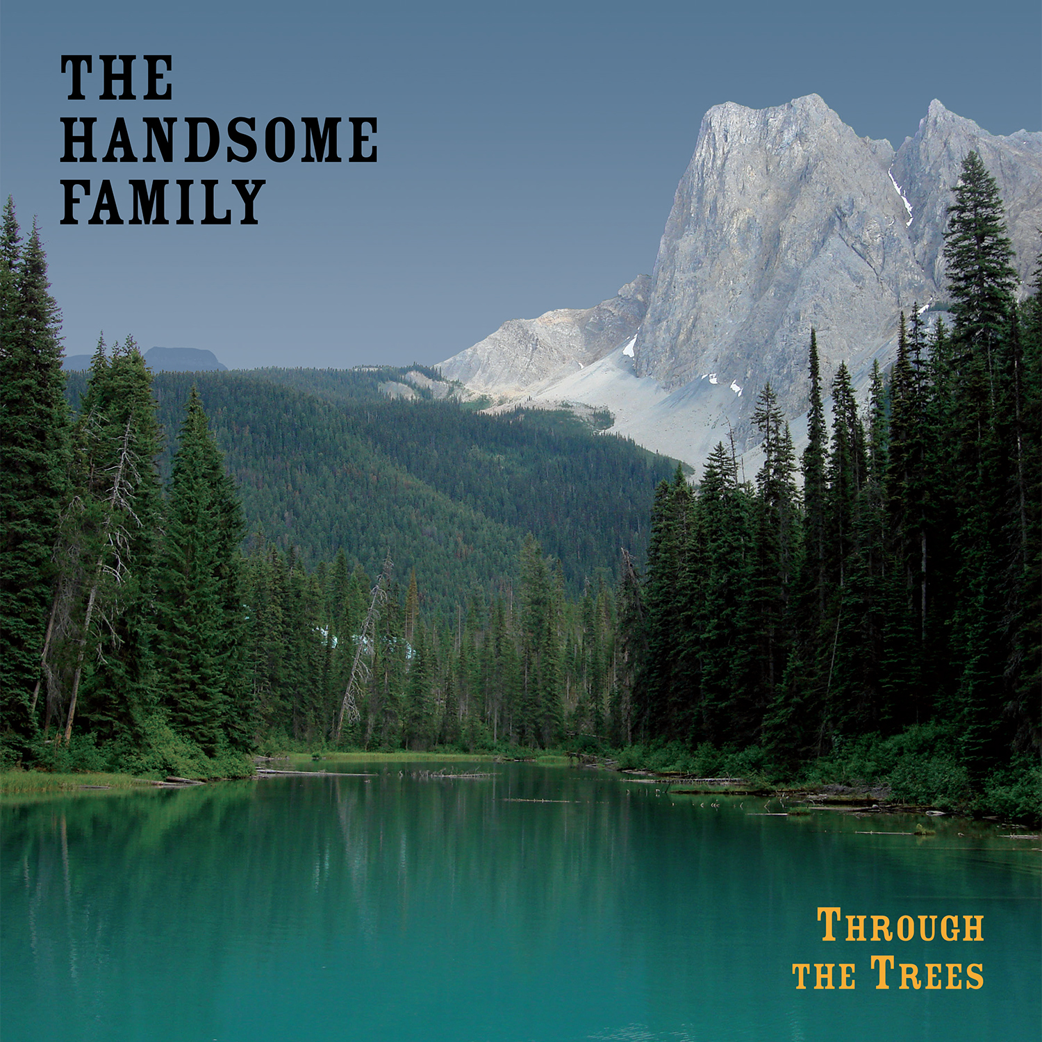 Saki020 Handsome Family T3 L Pcover