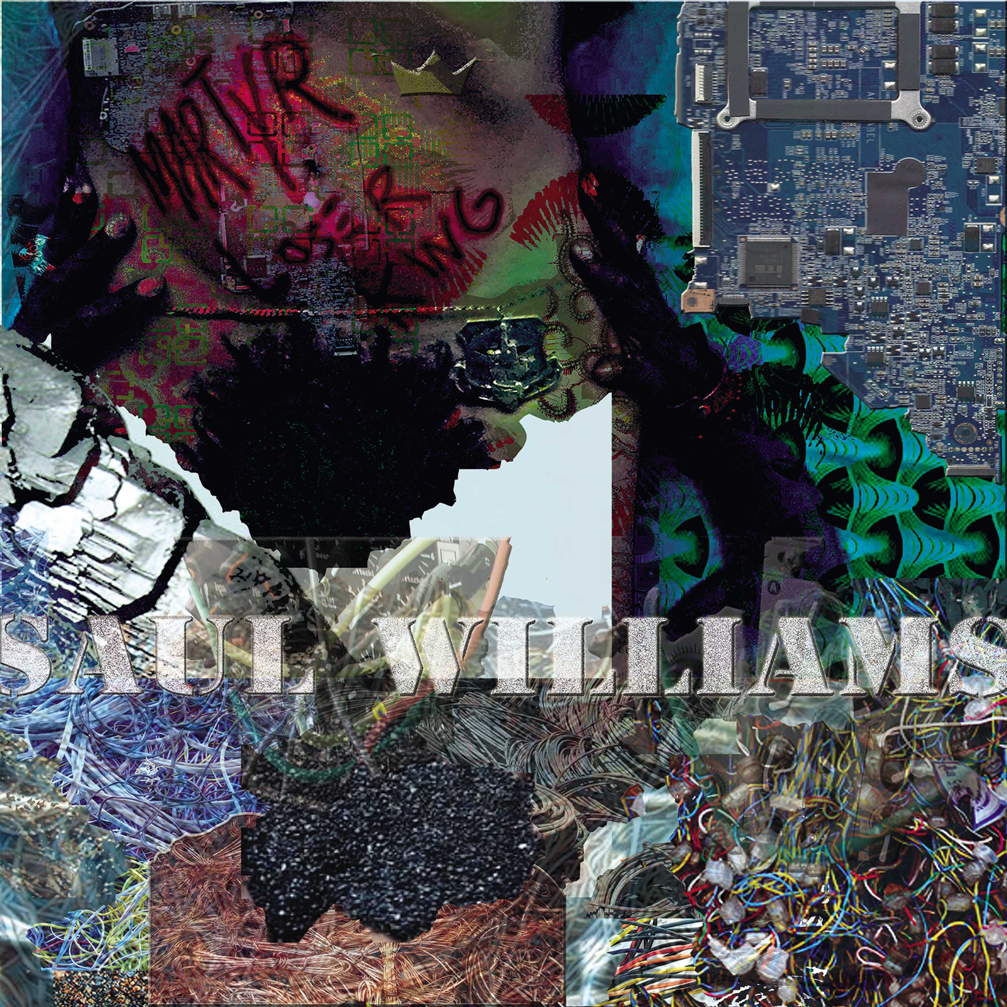 Saul williams Martyr Loser King