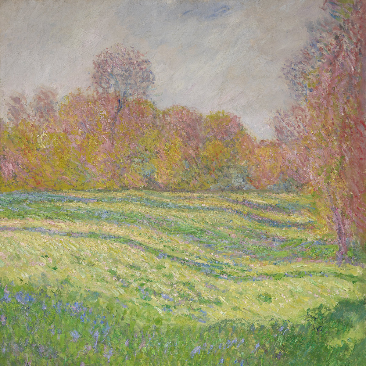 Strawberry guy sun art