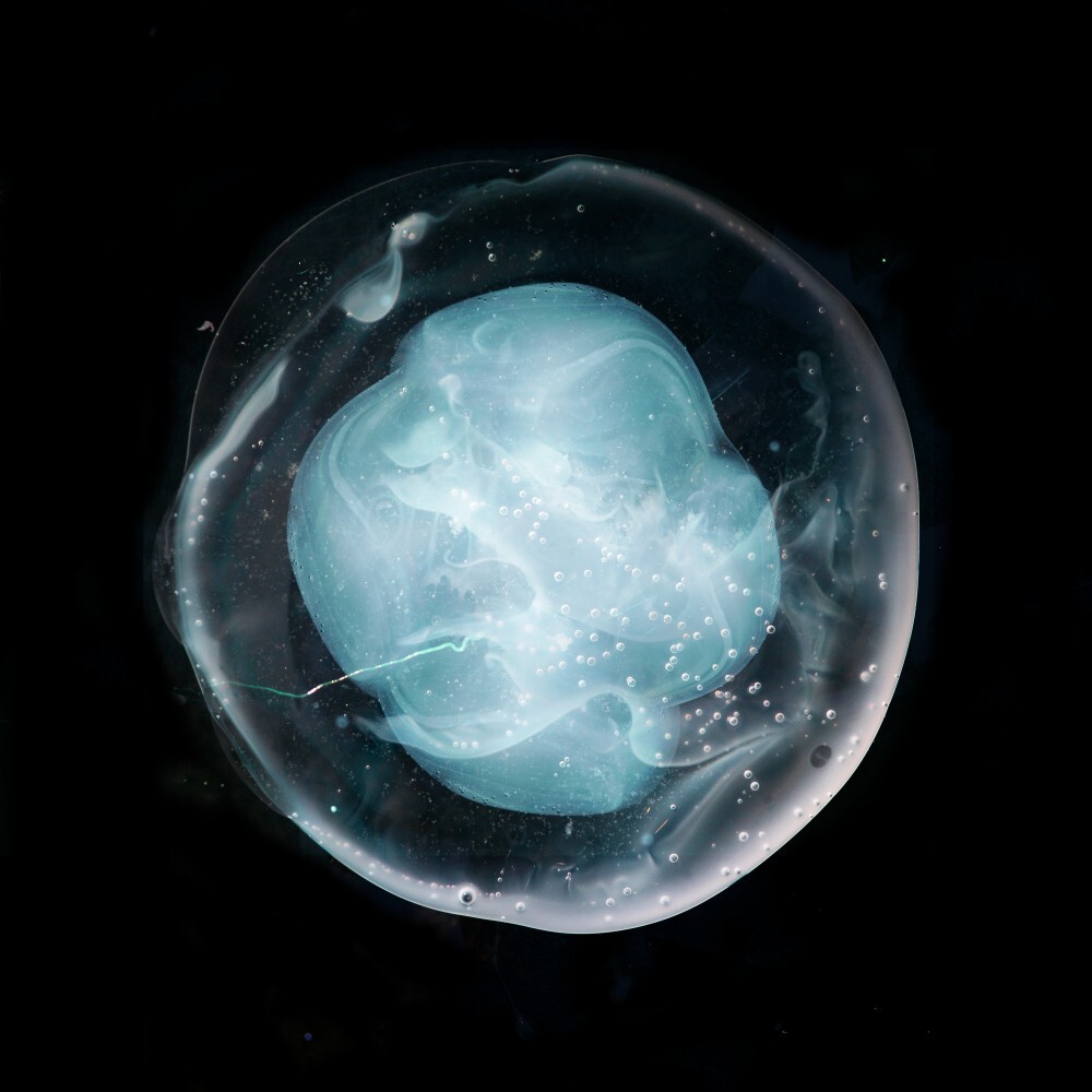 The undivided five main