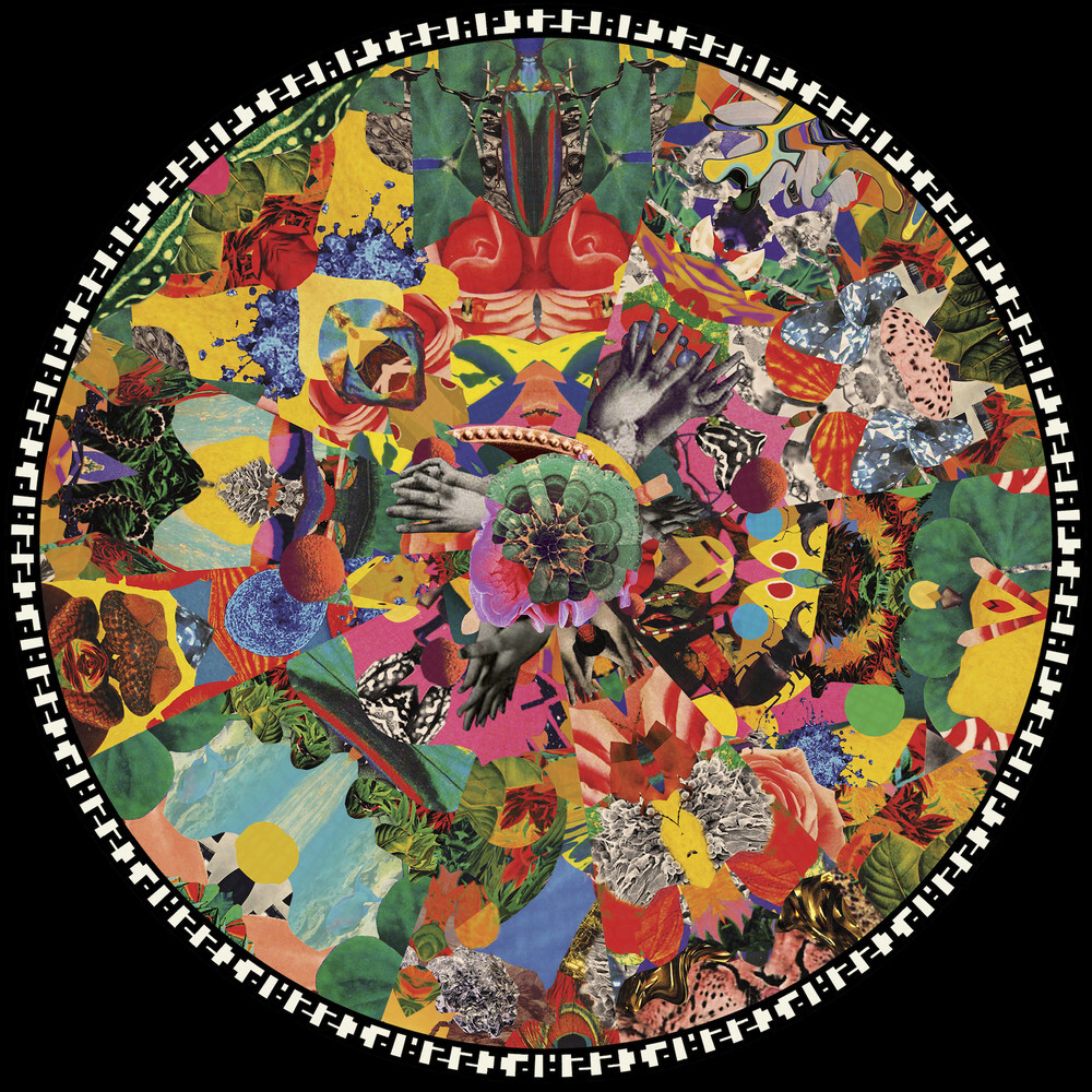 Treefightforsunlight