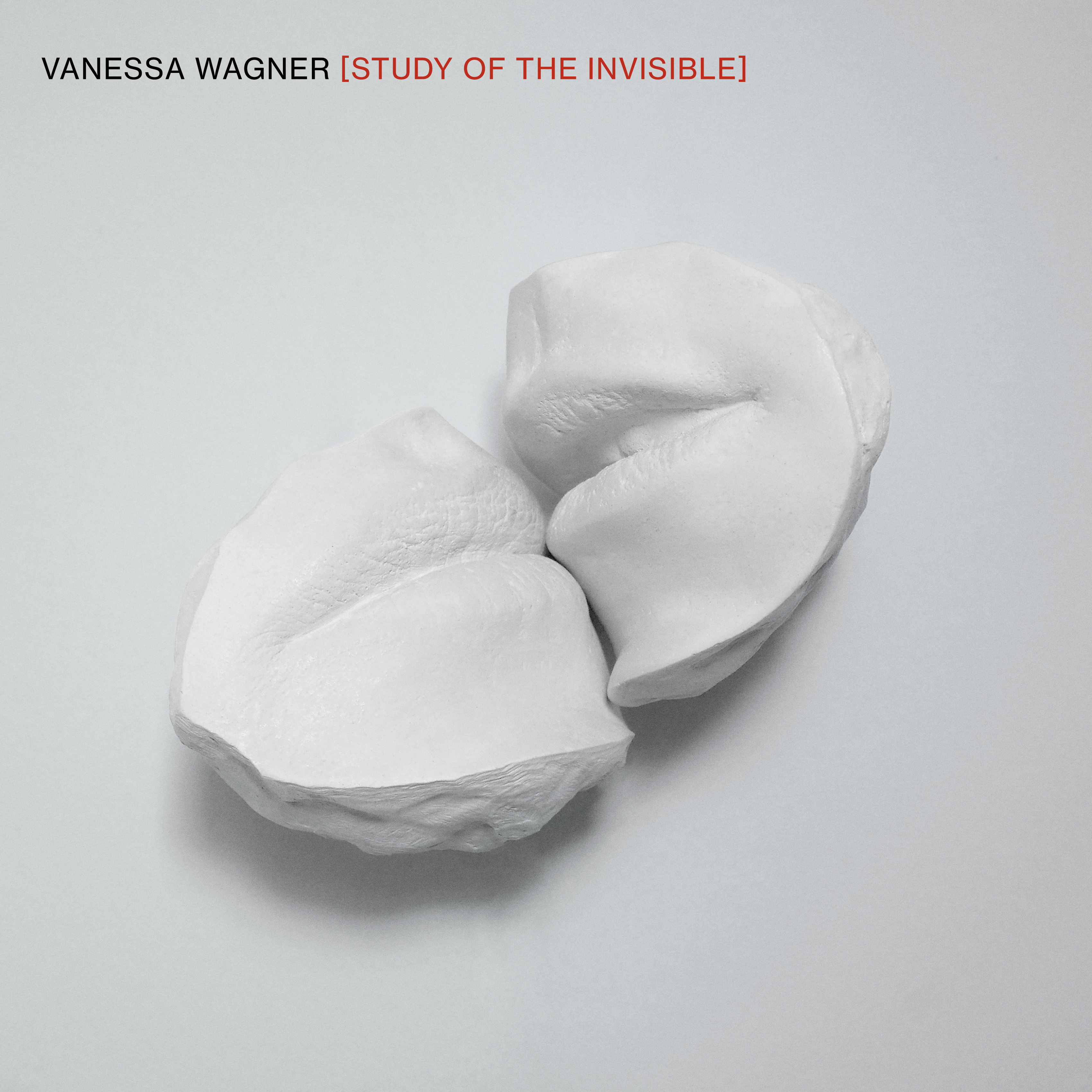 Vanessa wagner study art