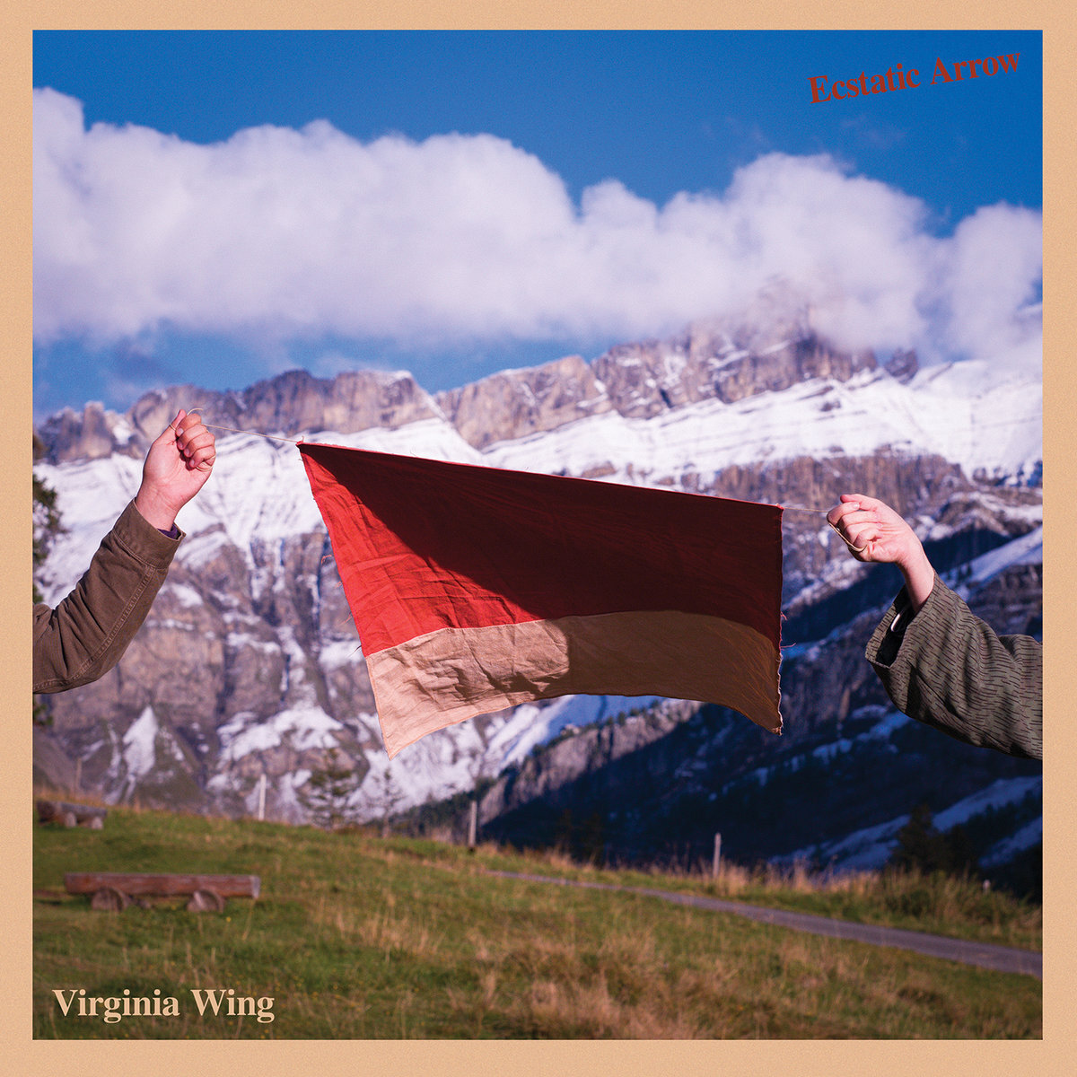 Virginia wing ecstatic arrow