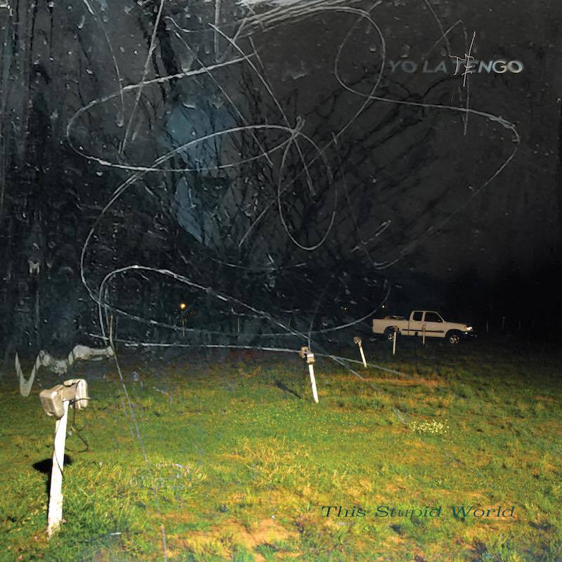 Yo la tengo this stupid world art