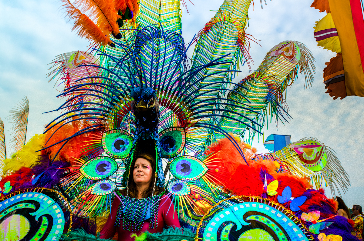 Carnival Peacock 060914 Bestival 2014 by Howard Melnyczuk