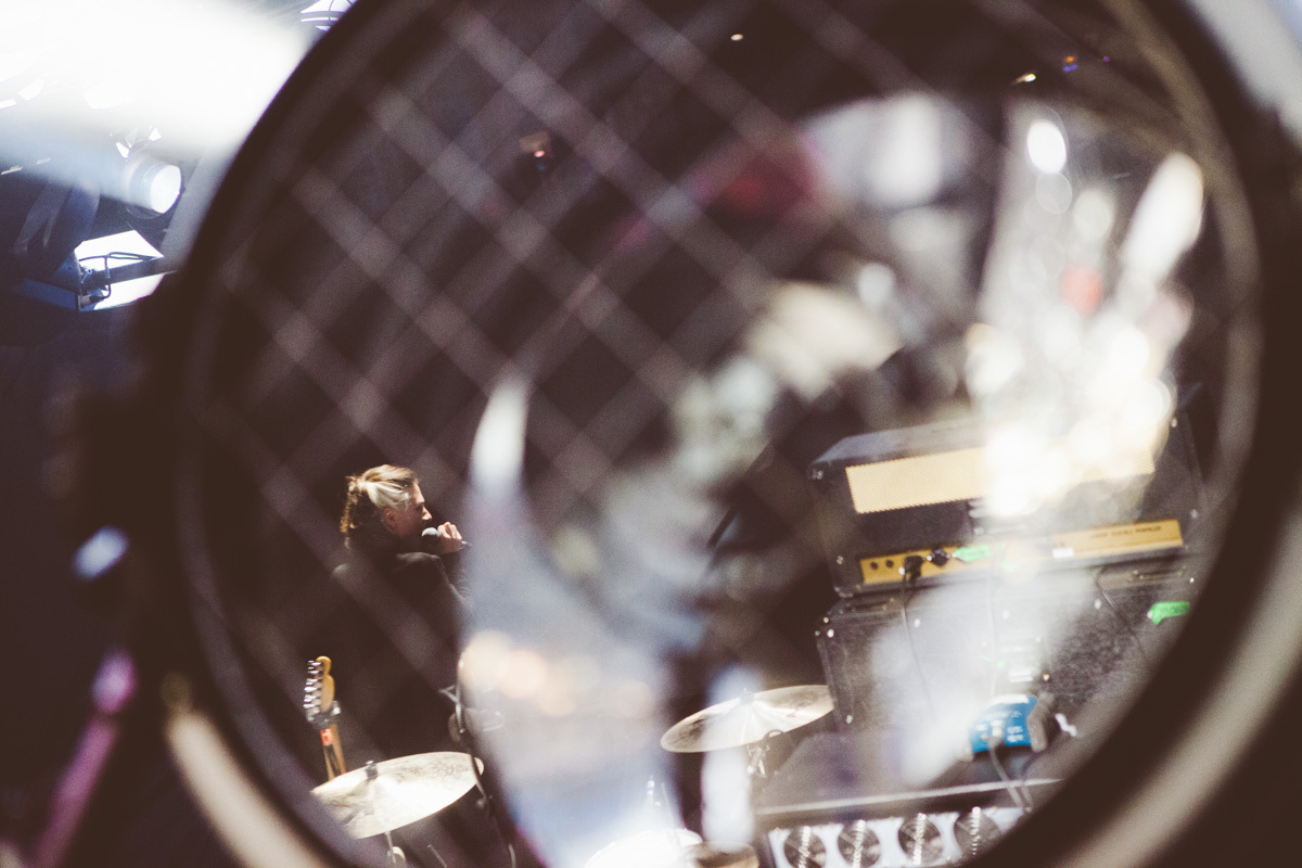 Cuckoo Lander A Palace260914 J Williamson 11