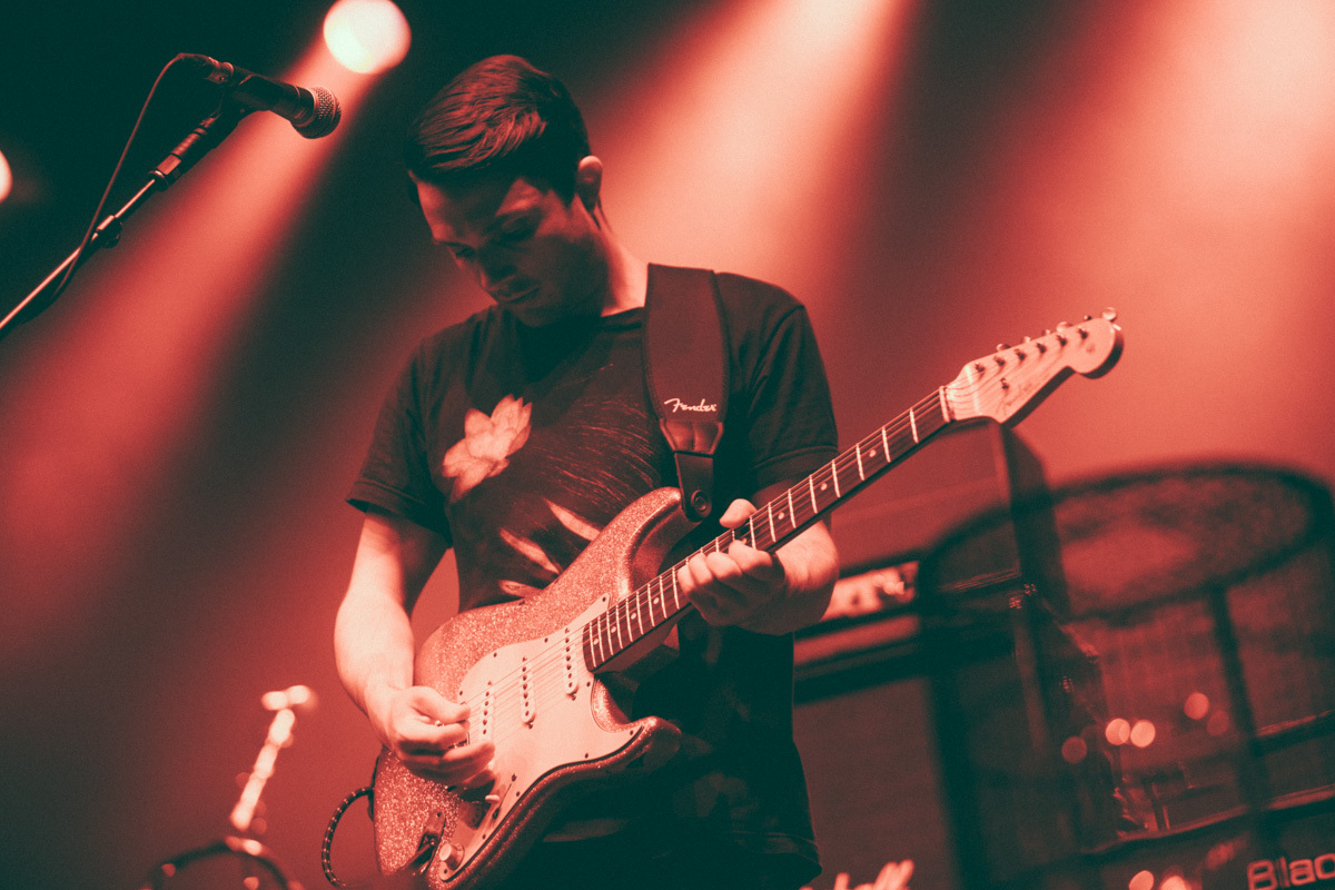 Cuckoo Lander A Palace260914 J Williamson 23