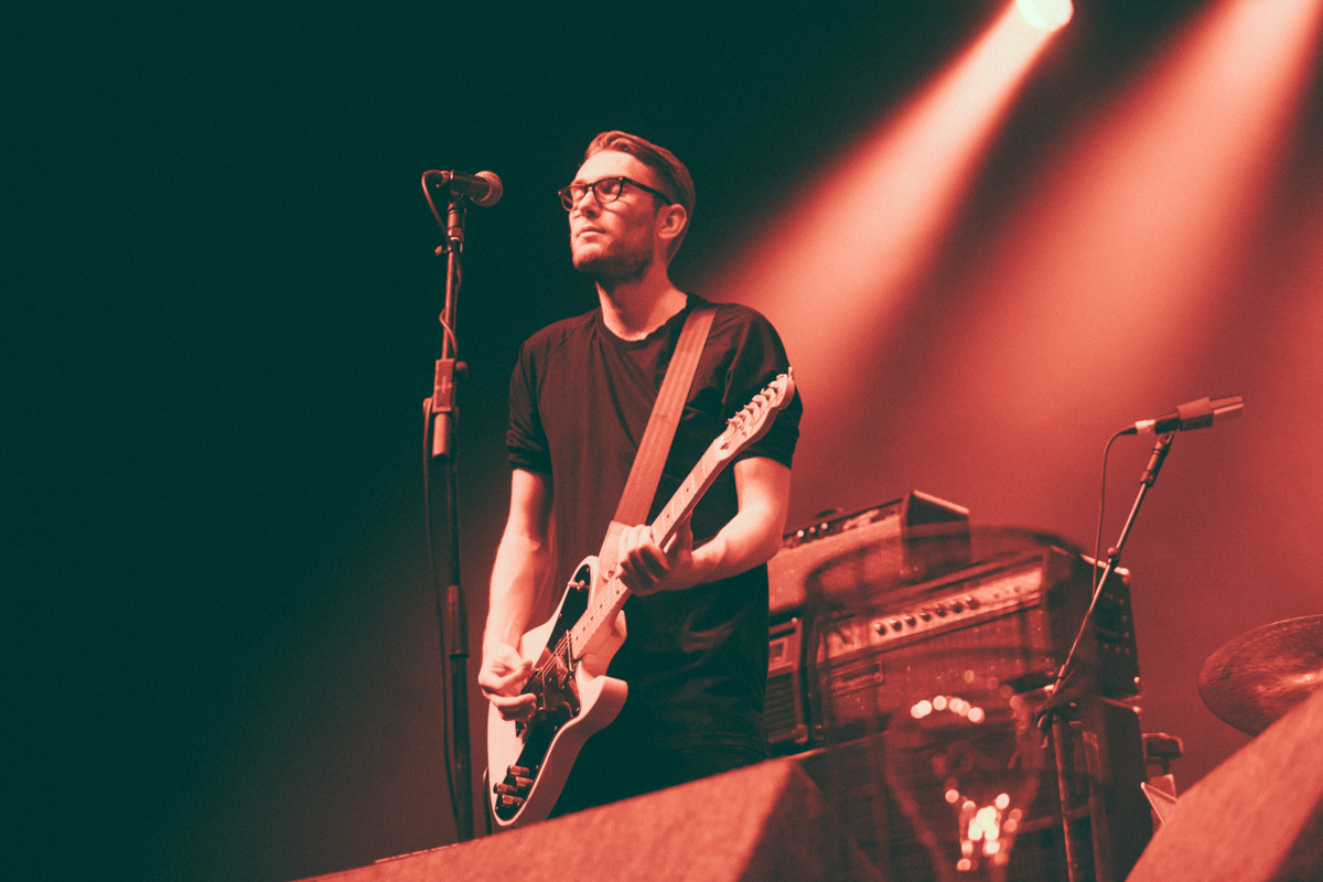 Cuckoo Lander A Palace260914 J Williamson 24