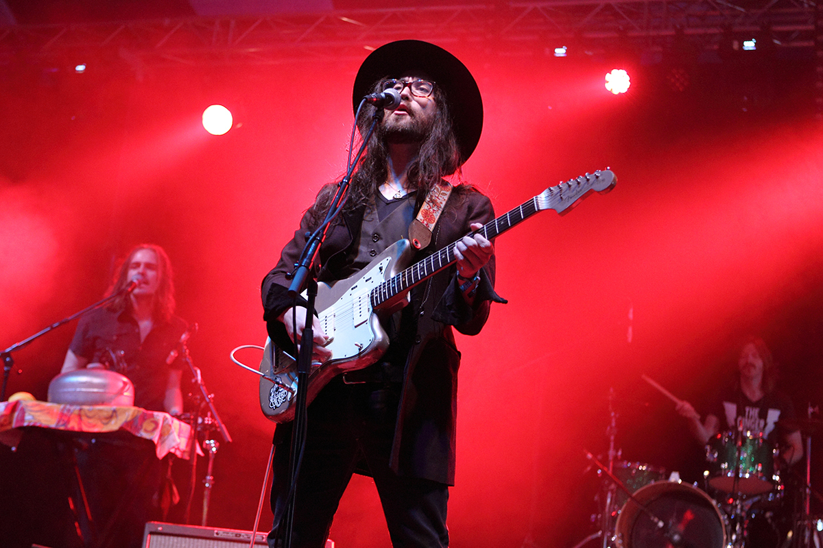 The ghost of a saber tooth tiger