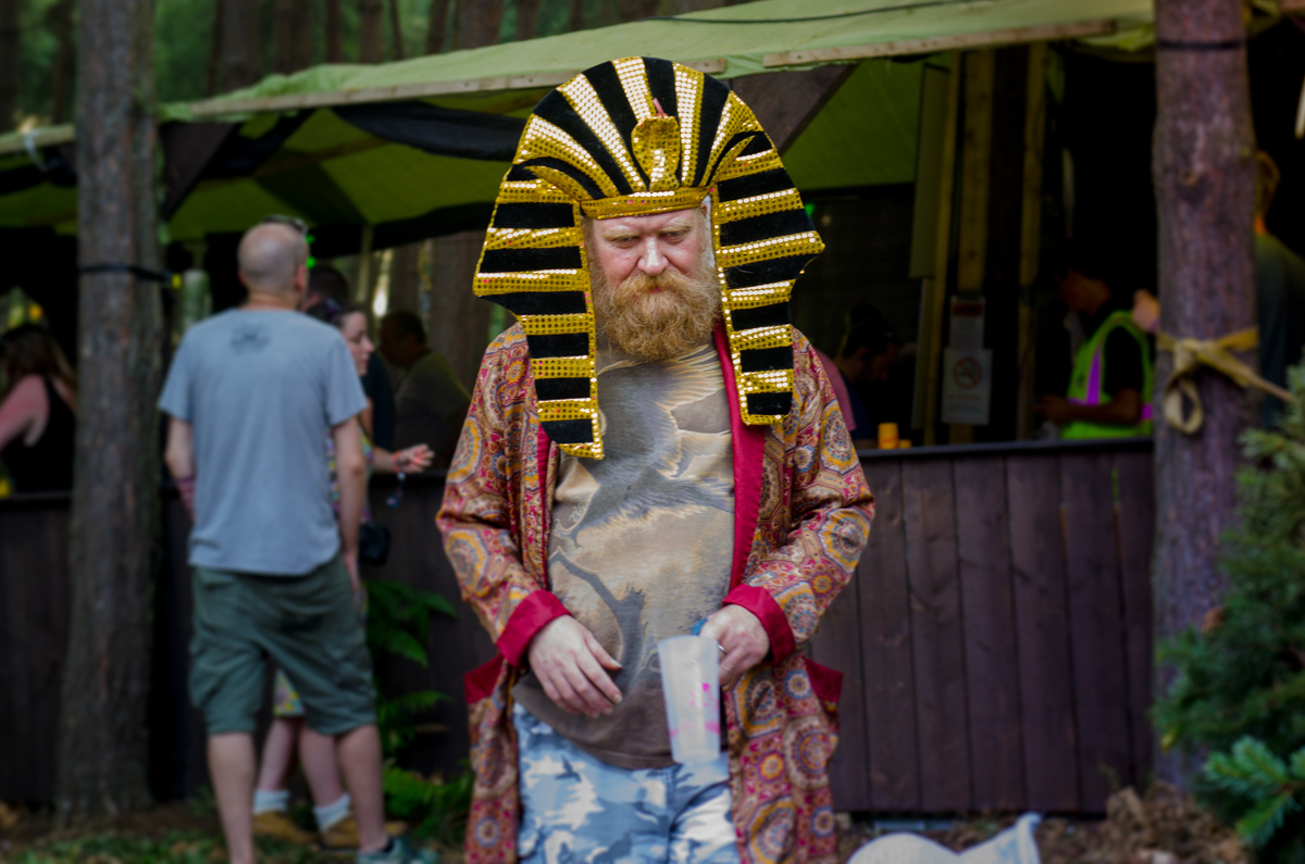 Fancy Dress 180714 Latitude 2014 Photo by Howard Melnyczuk 10